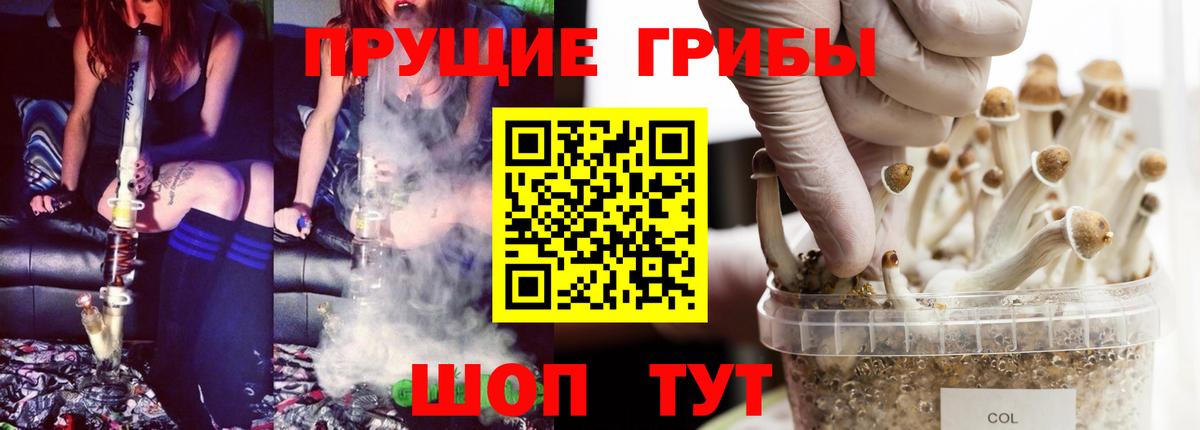 Вятские Поляны  Галлюциногенные грибы Psilocybe  дарнет шоп  Галлюциногенные грибы прущие грибы  Вход с VPN 
