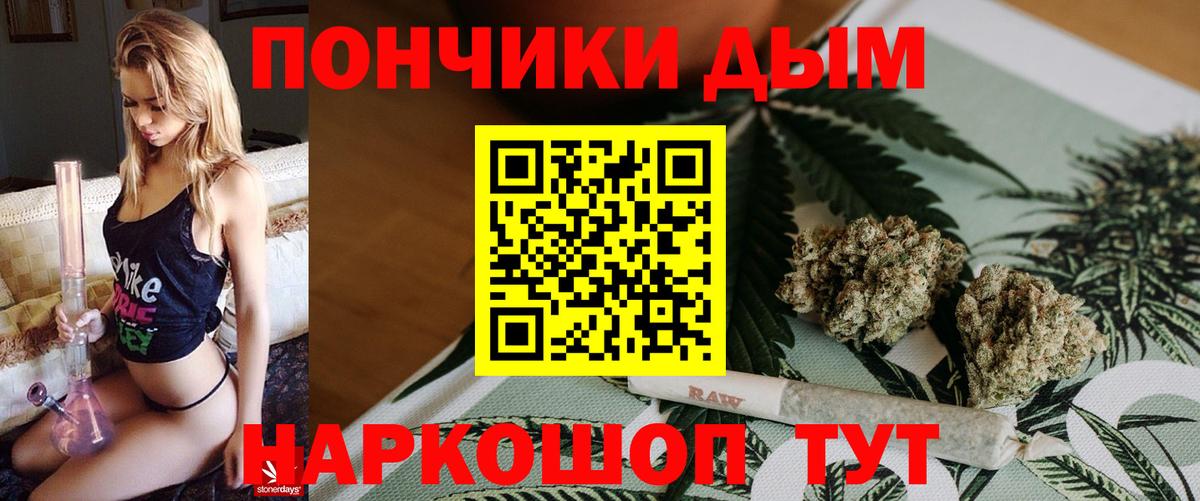 Бошки Шишки гибрид Вятские Поляны